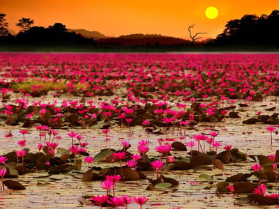 คอนกรีตผสมเสร็จ อุดรธานี